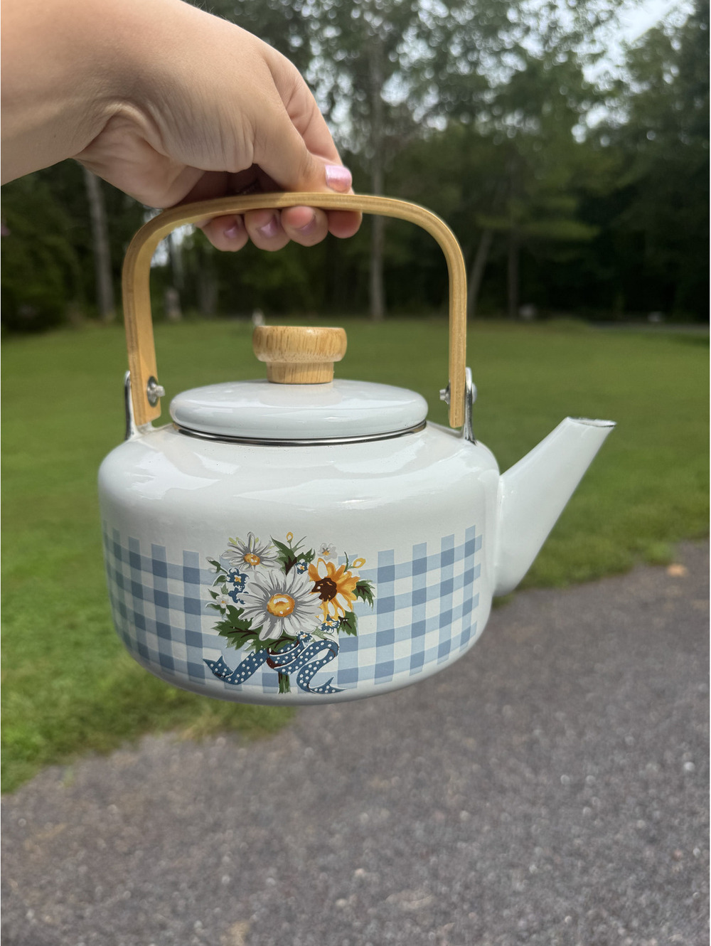 Vintage White Enamel Teapot with Blue Gingham and Floral Design